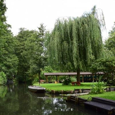 北京k10赛车下载app